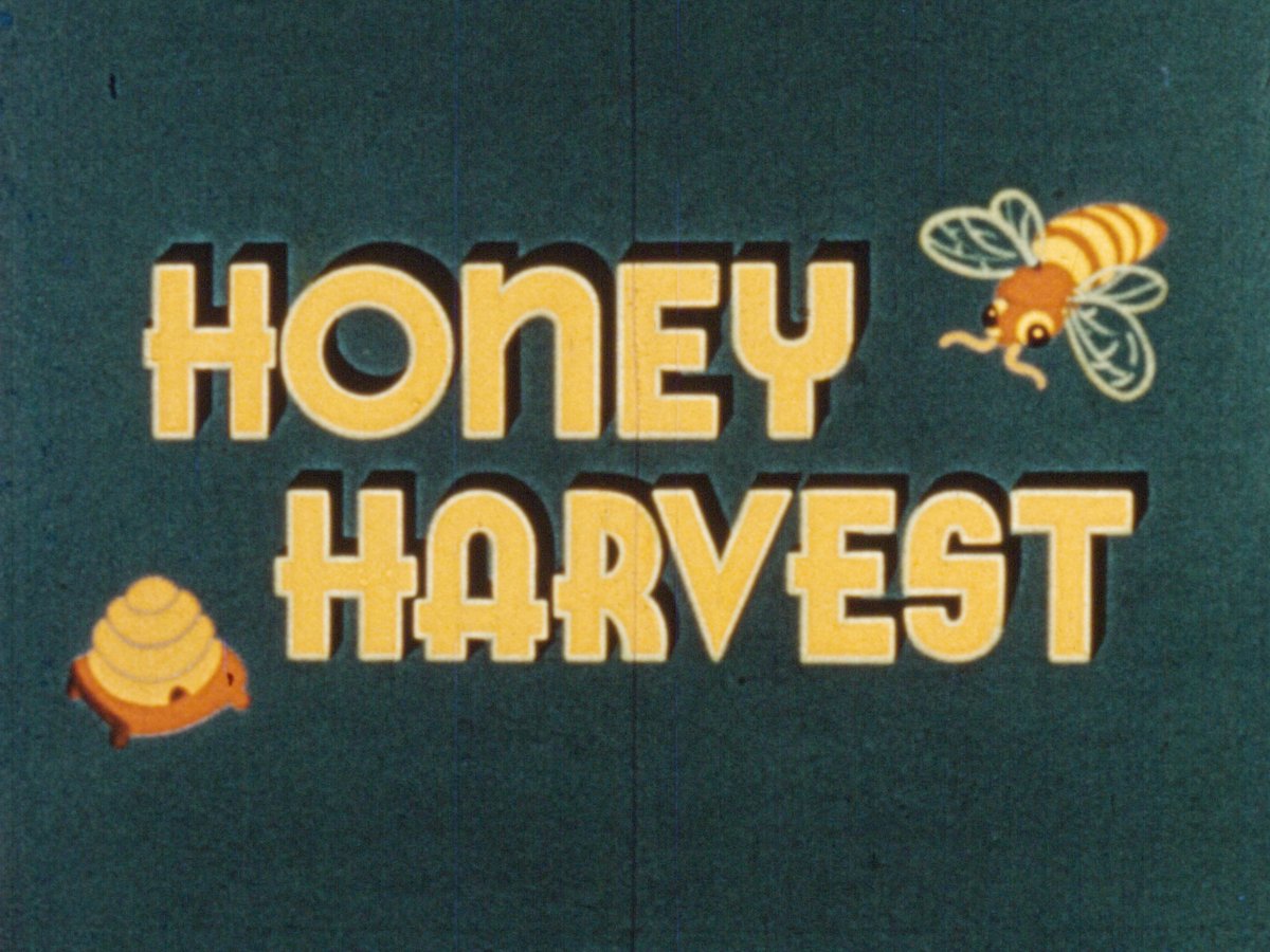 Honey harvest thumbnail image.