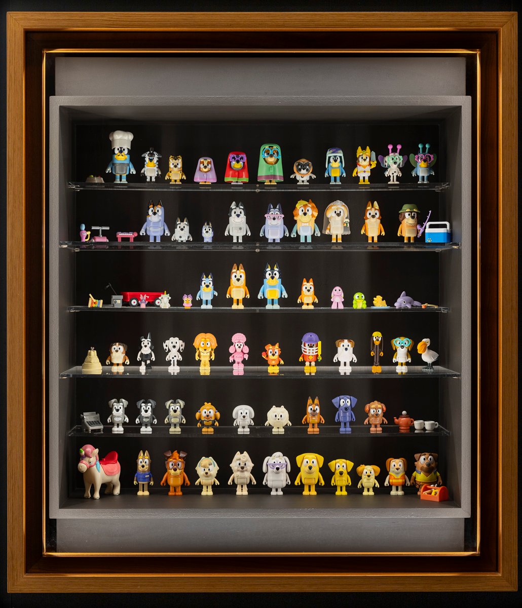 A picture of three rows of Bluey toys in a cabinet. There are a variety of colours and shapes of different characters.