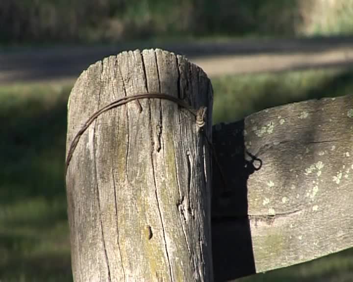 The Land is your mother thumbnail image.