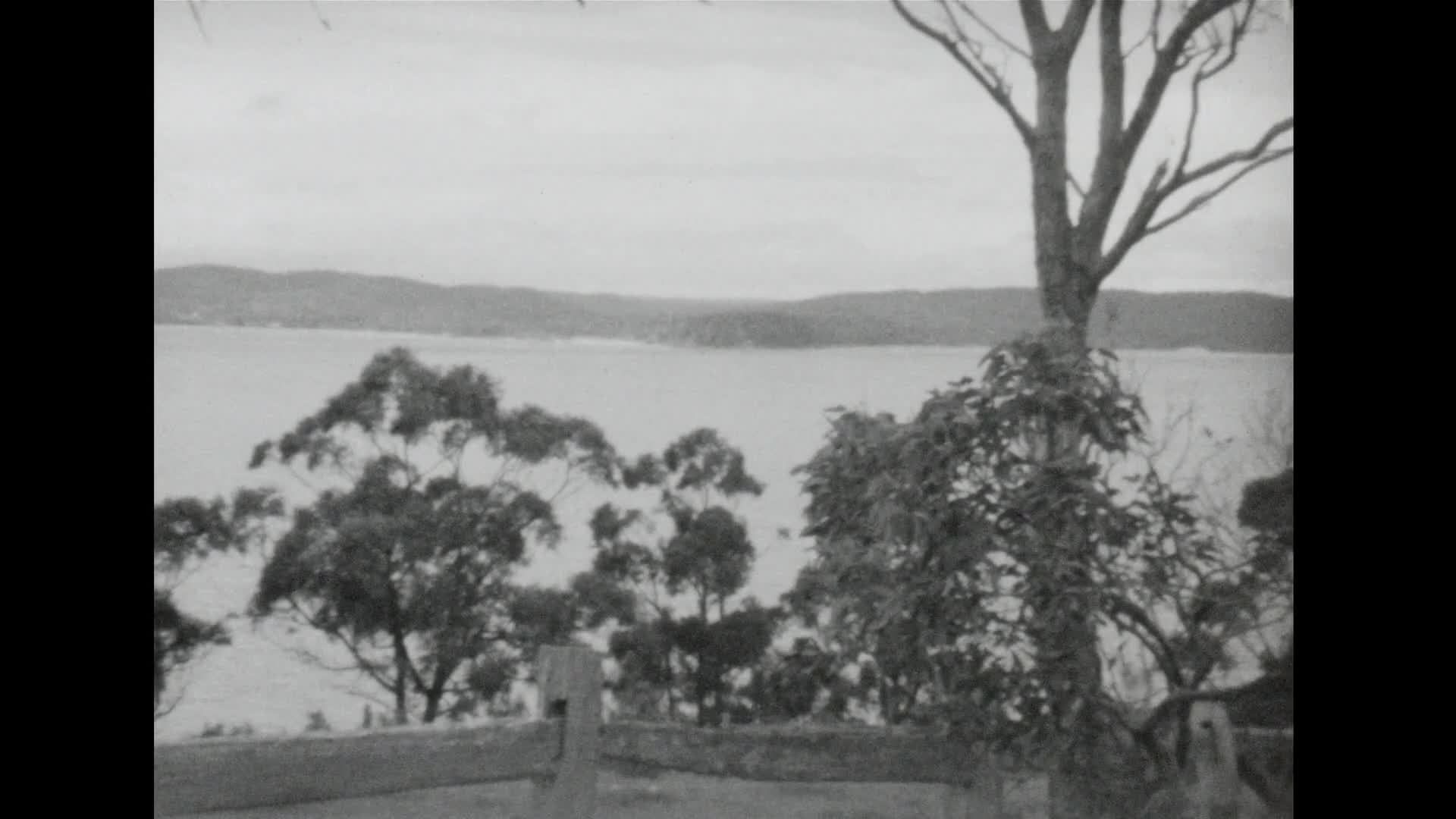 [Gadsden Family Home Movie Collection: Reel 122] thumbnail image.