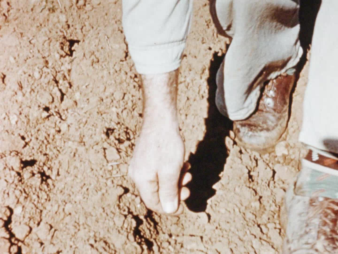 The Mallee Research Station thumbnail image.