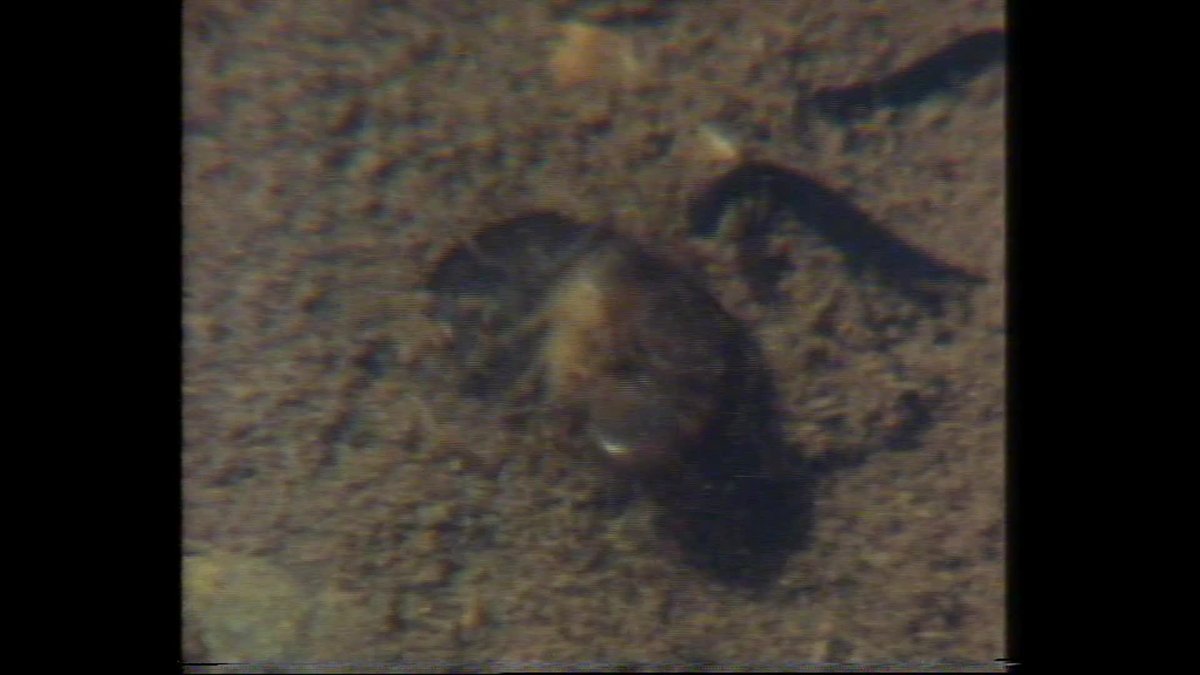 A still image from High country