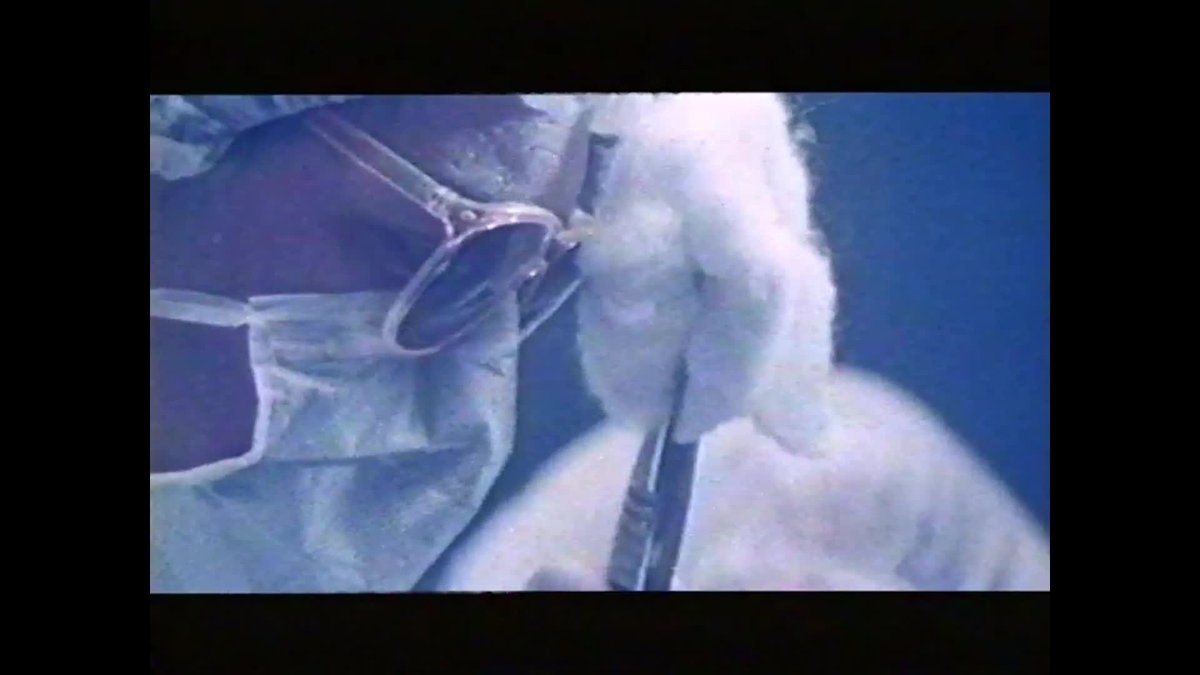 A still image from The Lost time capsule