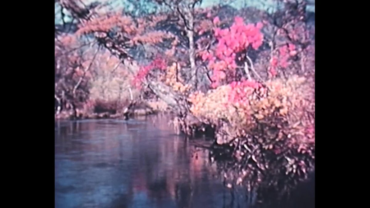 A still image from Nikko: autumn in Japan's alpine playground