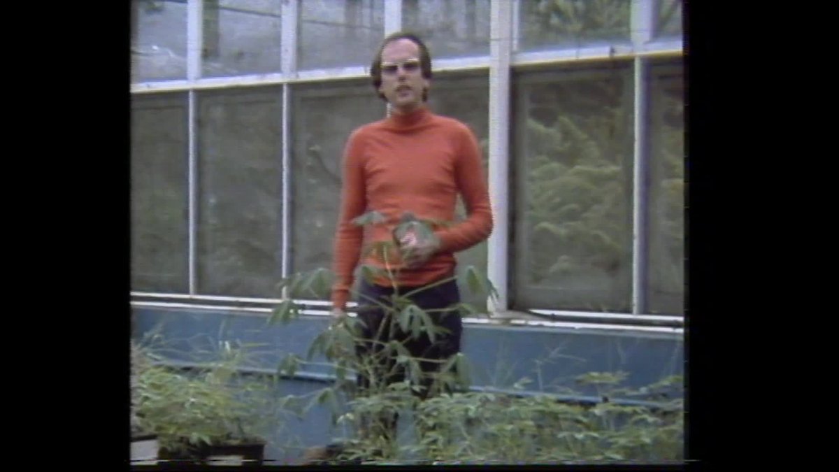 A still image from Liquid Sun (TEFC)
