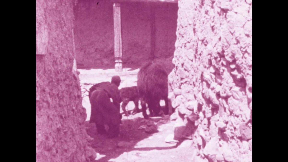 A still image from Shearing Yaks (Tajik People)