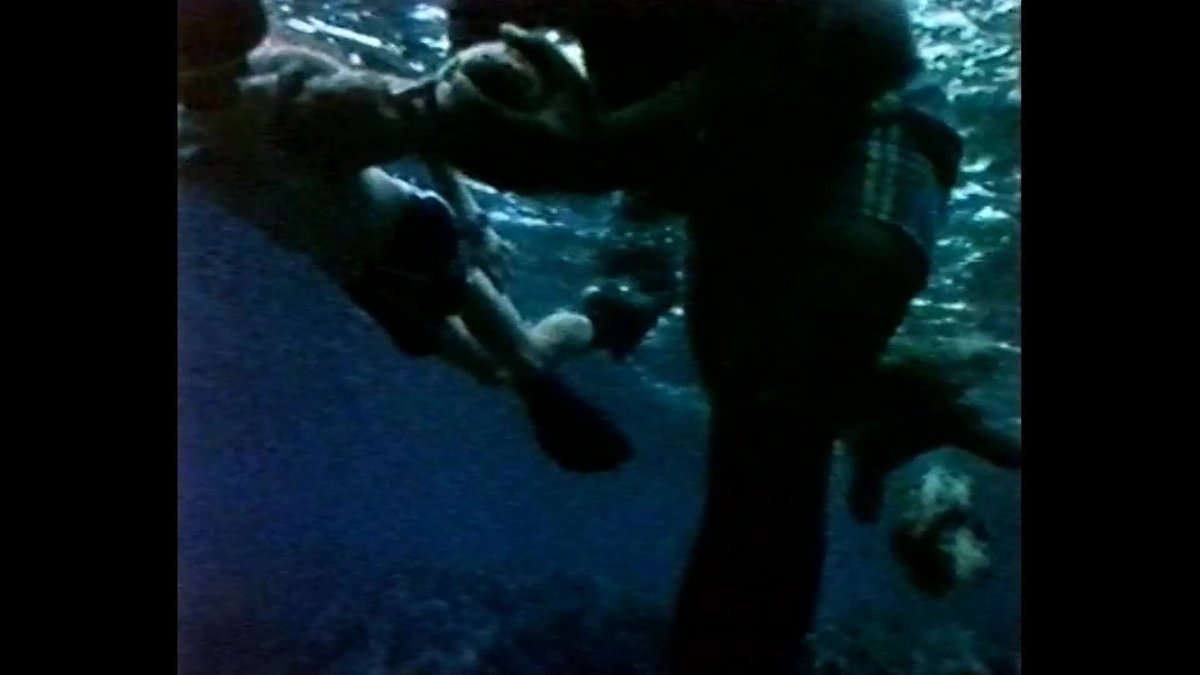 A still image from Eye of the octopus