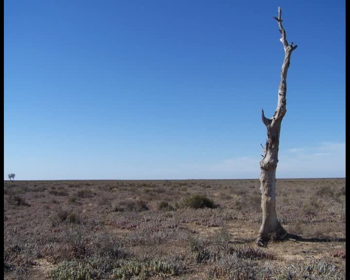 A still image from May Johnson