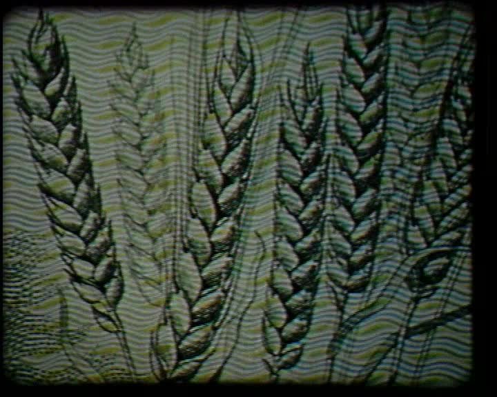 A still image from One hundred harvests