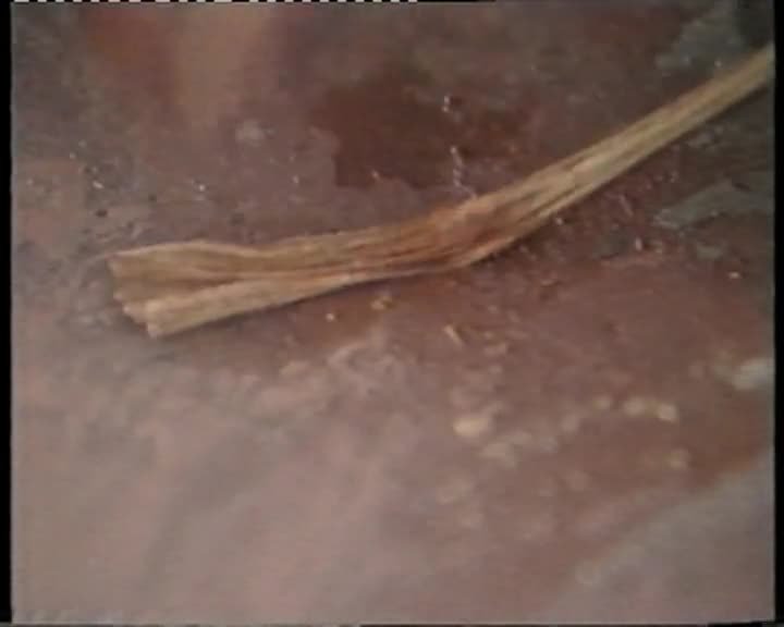 A still image from Aboriginal bark painting (A)