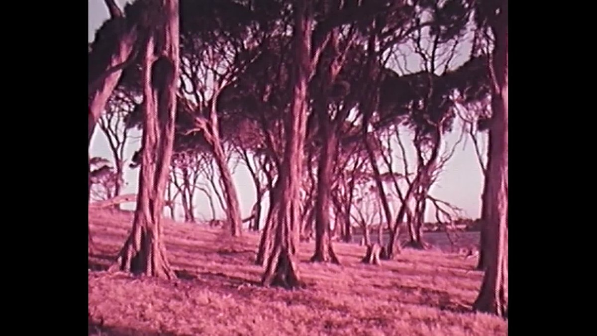 [Churchill Island] thumbnail image.