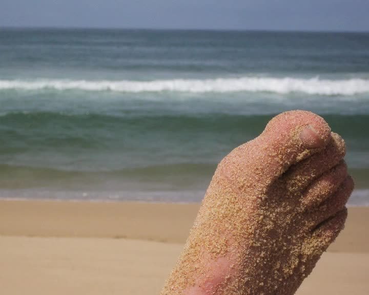 A still image from Bringing me home