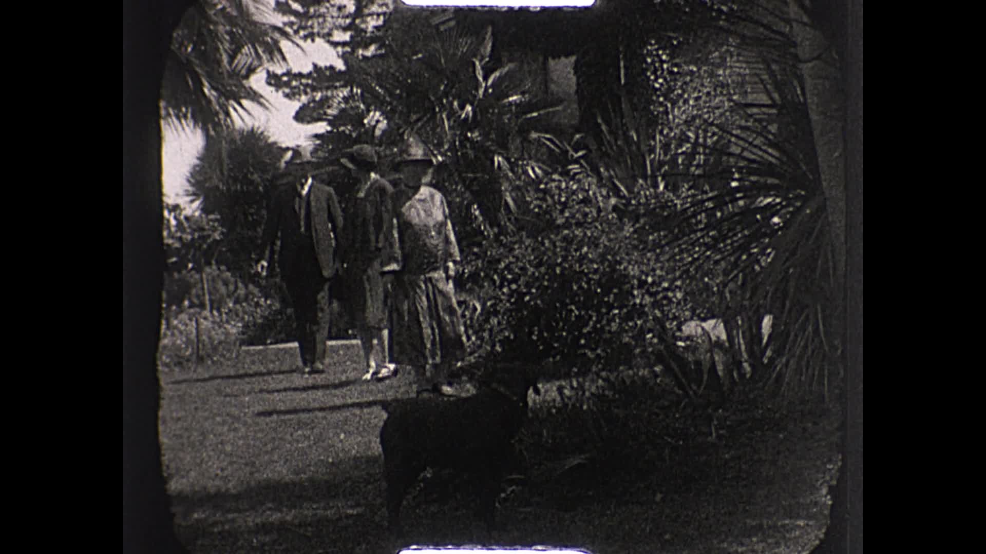 [John Robertson Duigan Film Collection: Reel 11] thumbnail image.