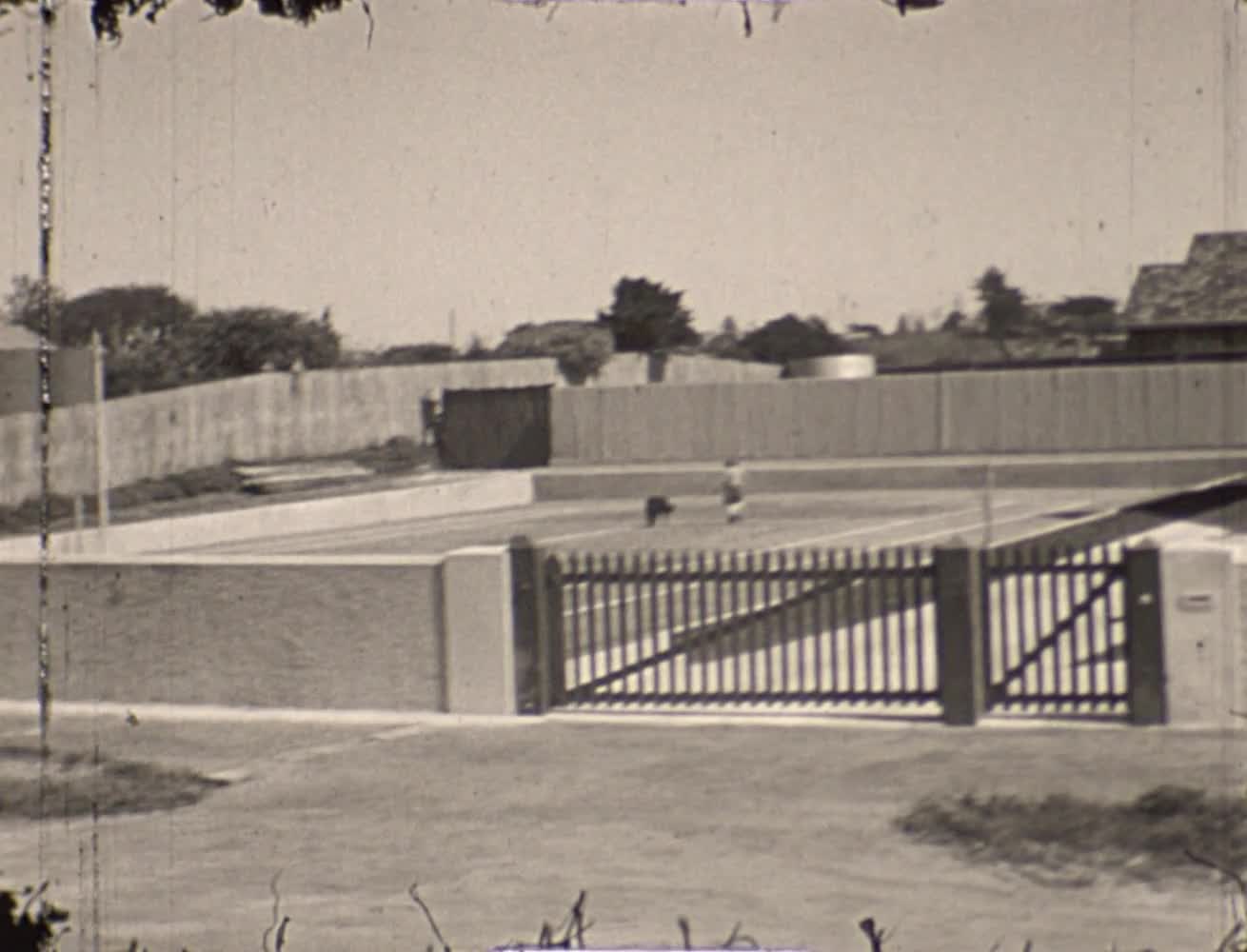 [Charles Hayes Home Movies: Reel 8] thumbnail image.