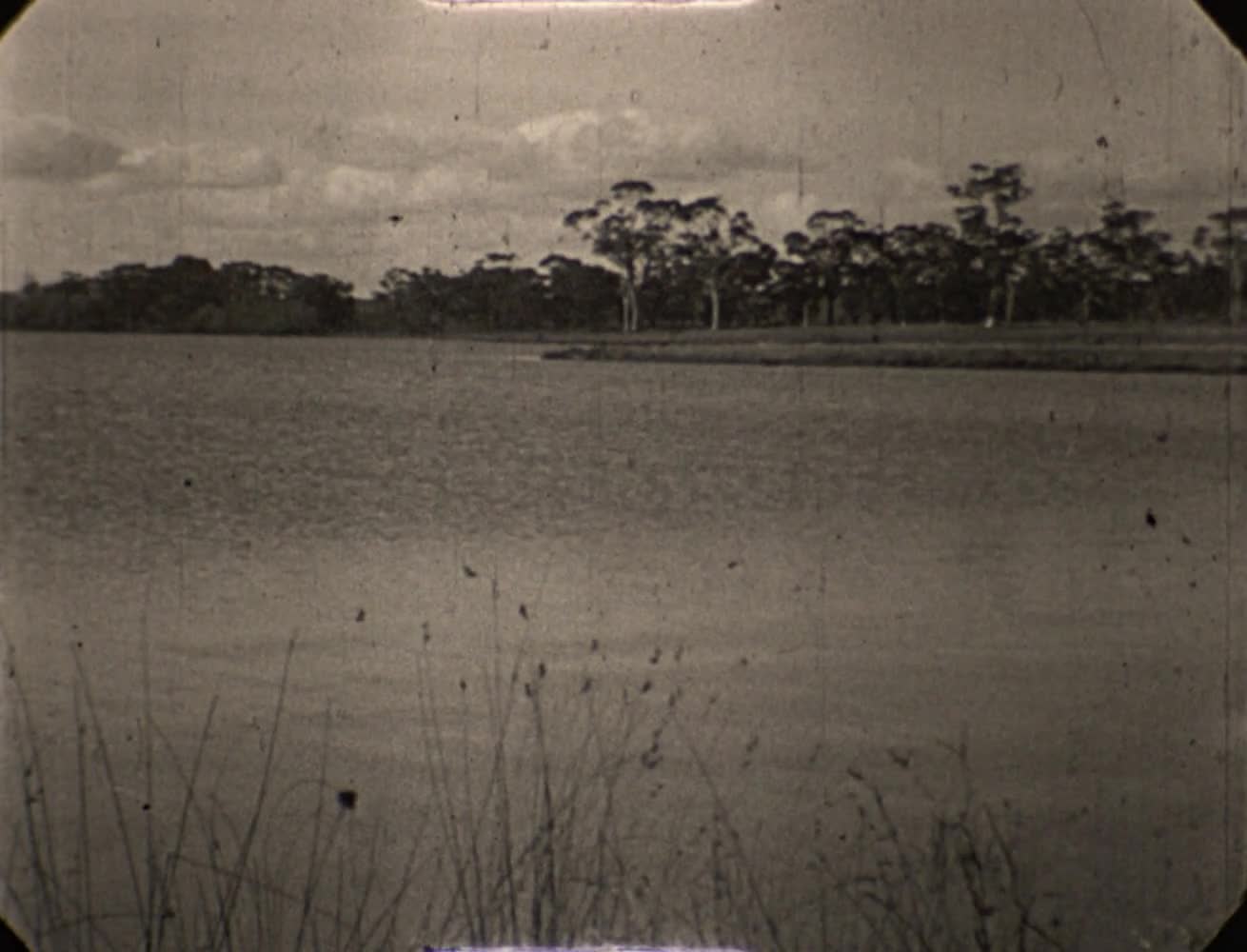[John Anderson Home Movies: Reel 6] thumbnail image.