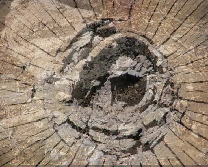 A still image from Surrounded