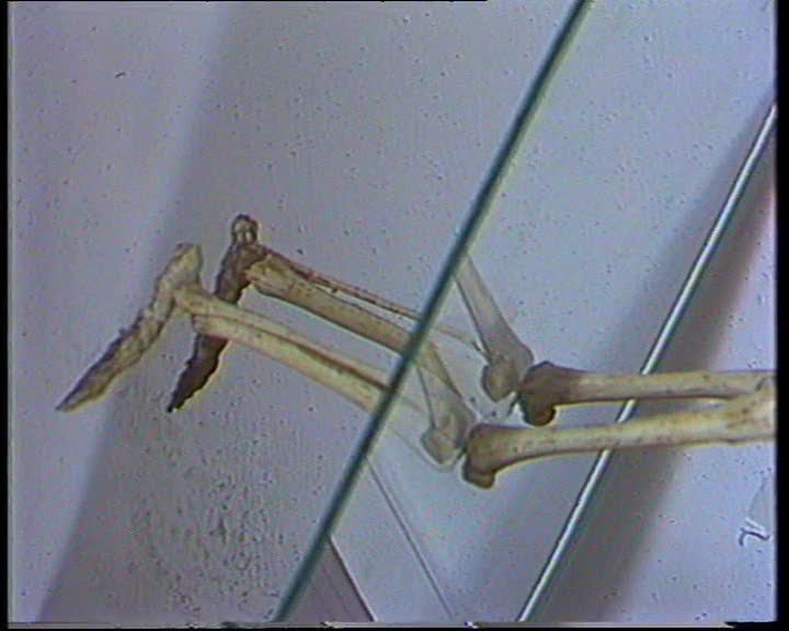 A still image from Tom Arthur